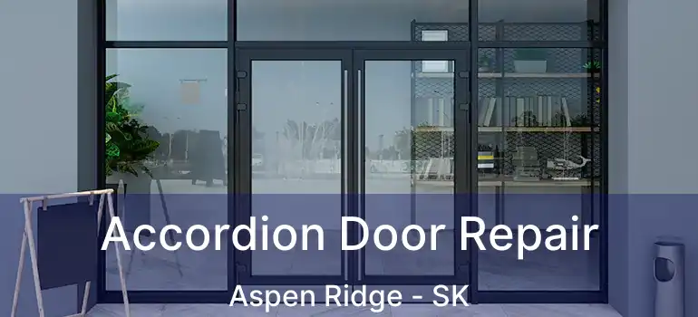  Accordion Door Repair Aspen Ridge - SK