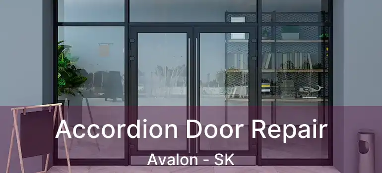  Accordion Door Repair Avalon - SK