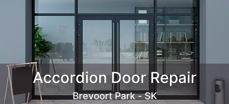  Accordion Door Repair Brevoort Park - SK