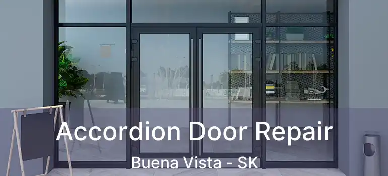  Accordion Door Repair Buena Vista - SK