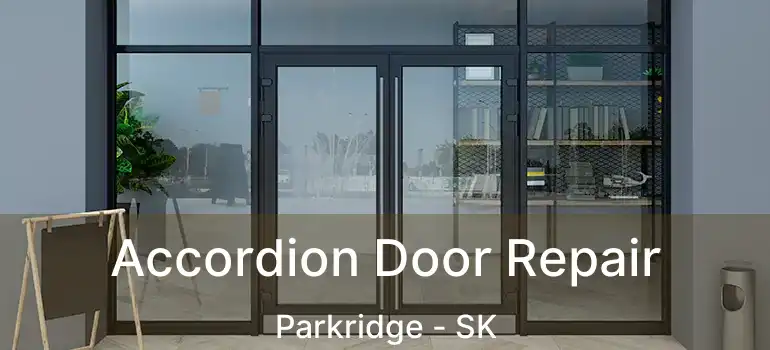  Accordion Door Repair Parkridge - SK