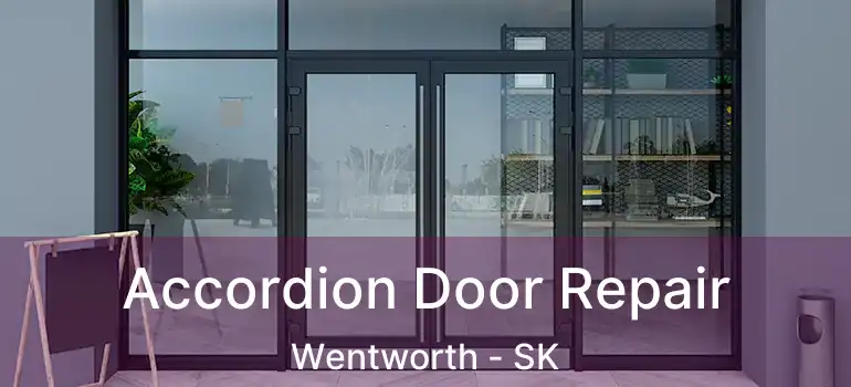  Accordion Door Repair Wentworth - SK