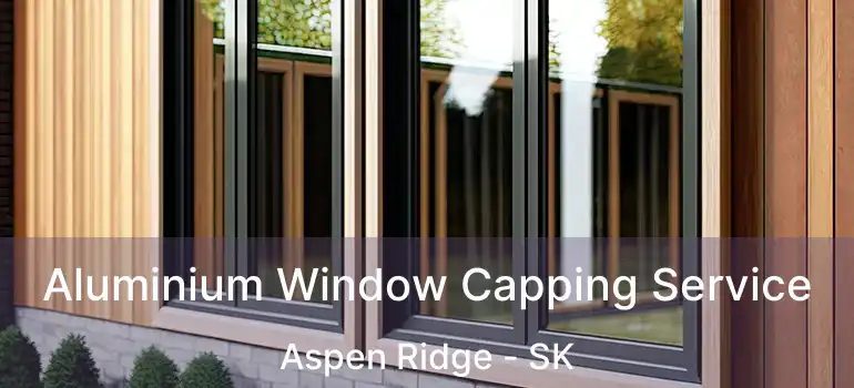  Aluminium Window Capping Service Aspen Ridge - SK