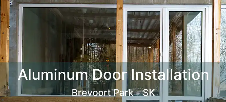  Aluminum Door Installation Brevoort Park - SK