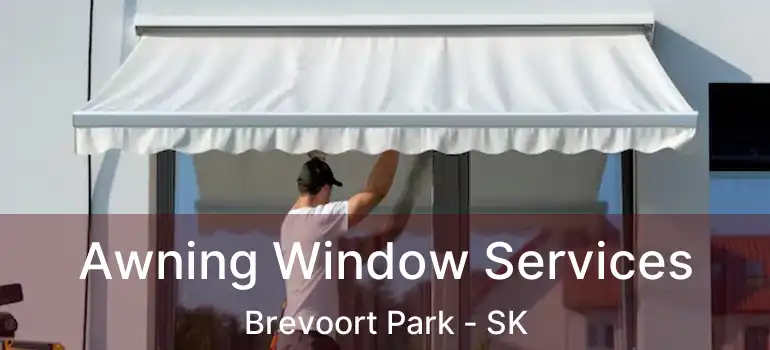  Awning Window Services Brevoort Park - SK