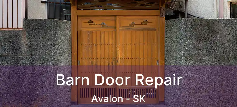  Barn Door Repair Avalon - SK