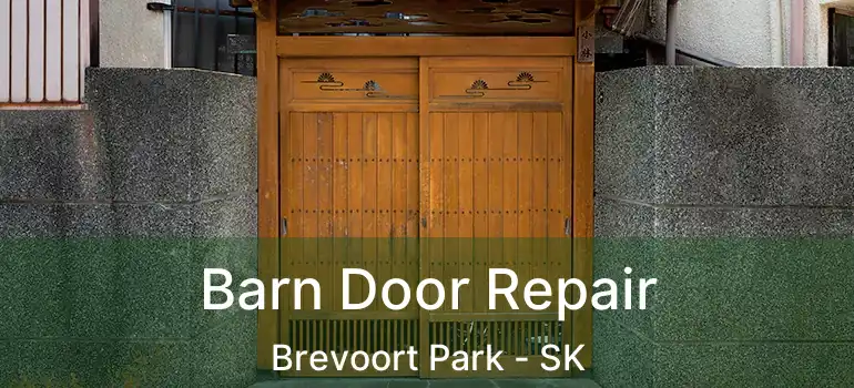  Barn Door Repair Brevoort Park - SK