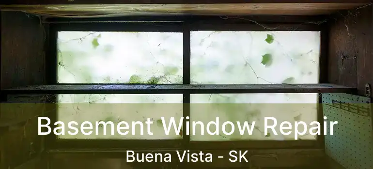  Basement Window Repair Buena Vista - SK