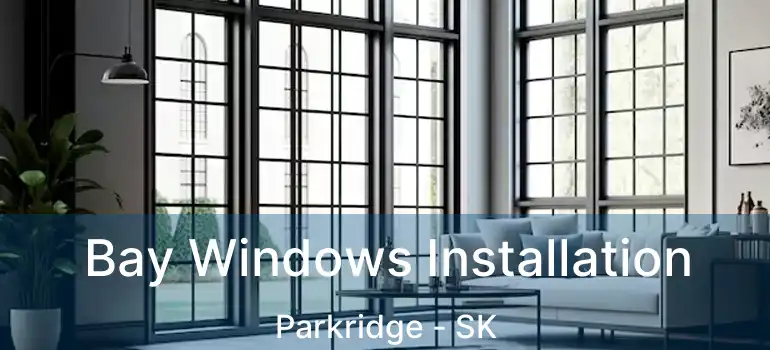  Bay Windows Installation Parkridge - SK