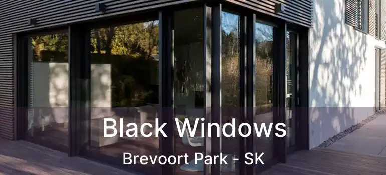  Black Windows Brevoort Park - SK