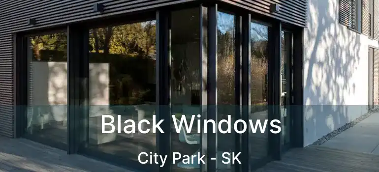  Black Windows City Park - SK