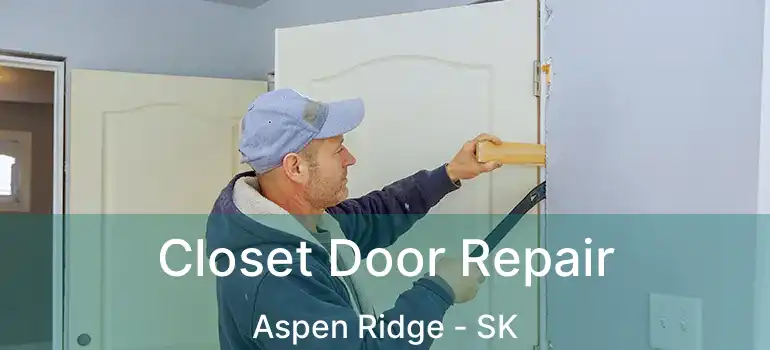  Closet Door Repair Aspen Ridge - SK