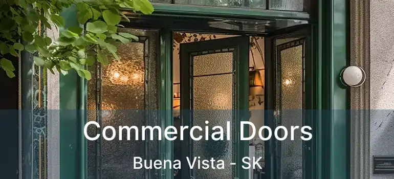  Commercial Doors Buena Vista - SK