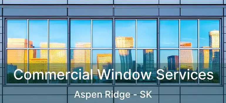  Commercial Window Services Aspen Ridge - SK