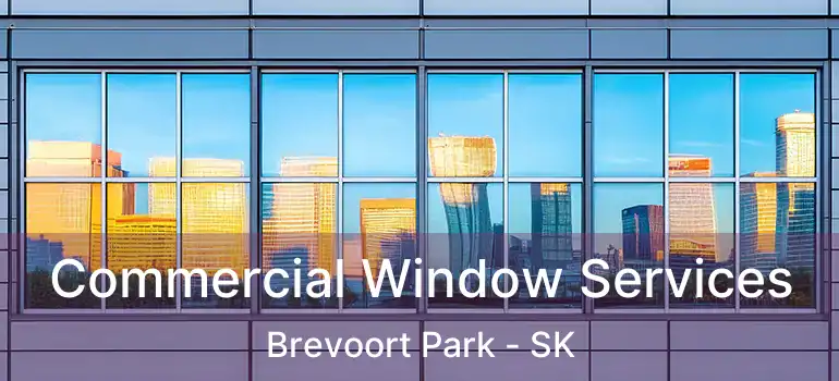  Commercial Window Services Brevoort Park - SK