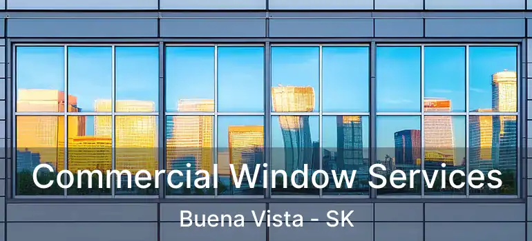  Commercial Window Services Buena Vista - SK