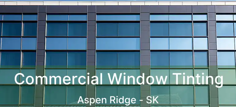  Commercial Window Tinting Aspen Ridge - SK