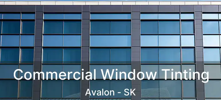  Commercial Window Tinting Avalon - SK