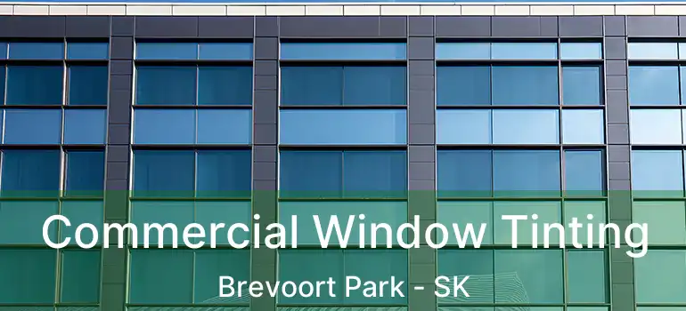  Commercial Window Tinting Brevoort Park - SK