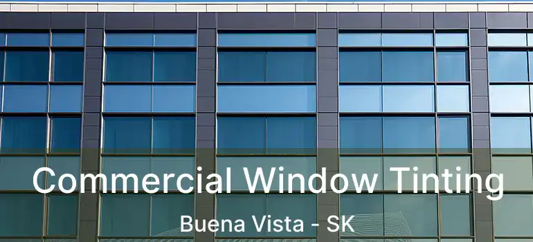  Commercial Window Tinting Buena Vista - SK