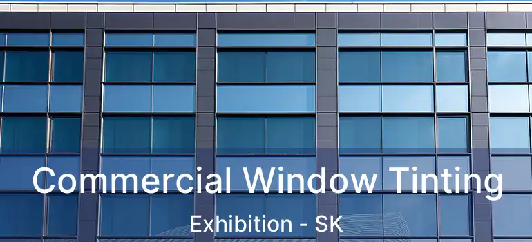  Commercial Window Tinting Exhibition - SK