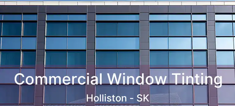  Commercial Window Tinting Holliston - SK