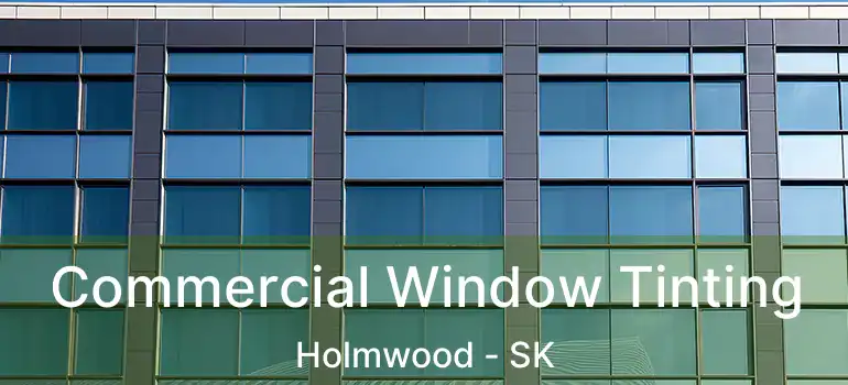  Commercial Window Tinting Holmwood - SK