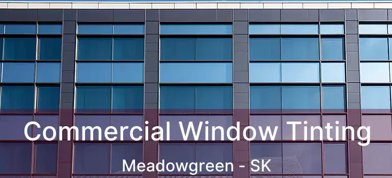  Commercial Window Tinting Meadowgreen - SK