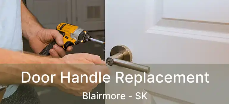  Door Handle Replacement Blairmore - SK