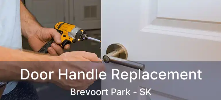  Door Handle Replacement Brevoort Park - SK