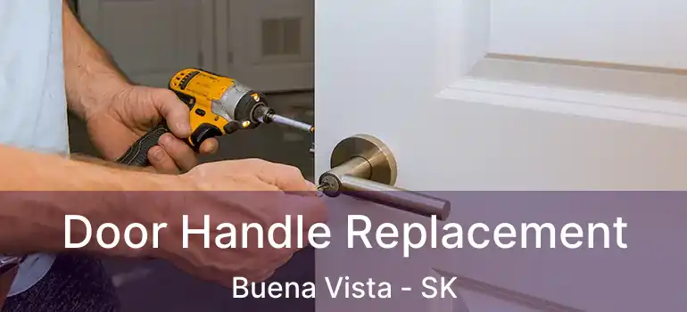  Door Handle Replacement Buena Vista - SK