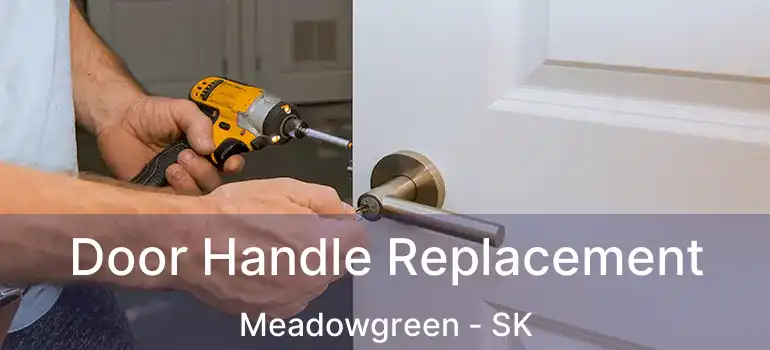  Door Handle Replacement Meadowgreen - SK