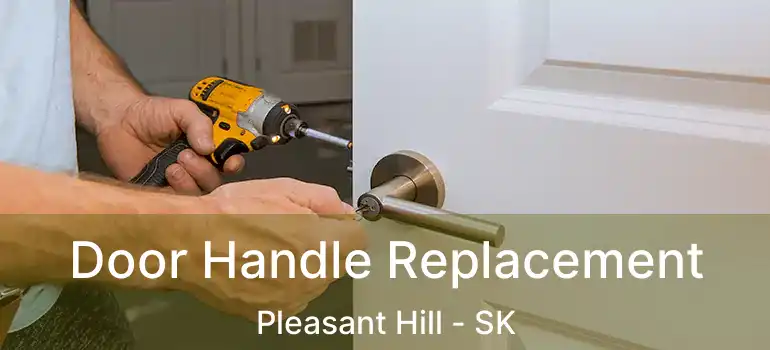  Door Handle Replacement Pleasant Hill - SK