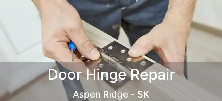  Door Hinge Repair Aspen Ridge - SK