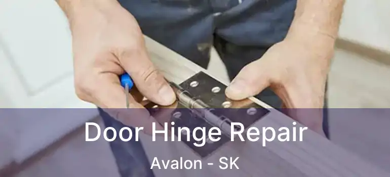  Door Hinge Repair Avalon - SK