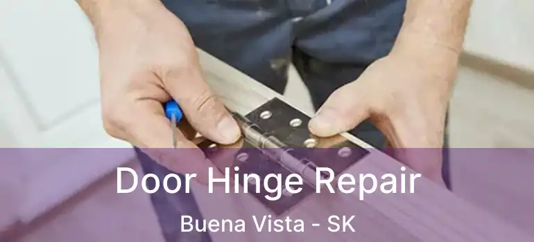  Door Hinge Repair Buena Vista - SK