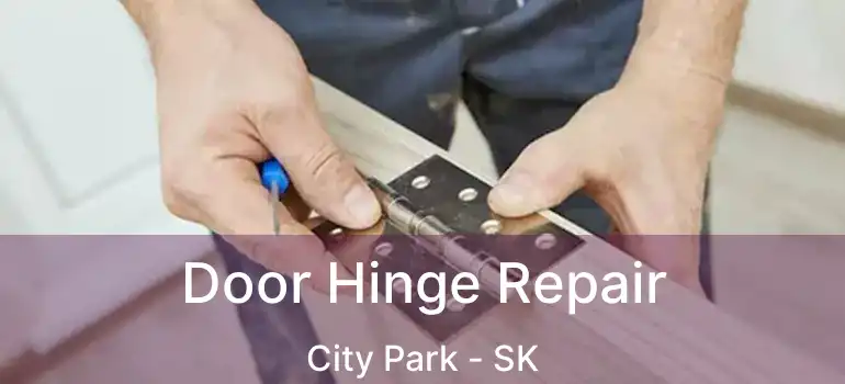  Door Hinge Repair City Park - SK