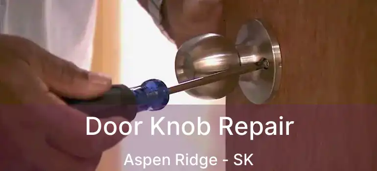  Door Knob Repair Aspen Ridge - SK