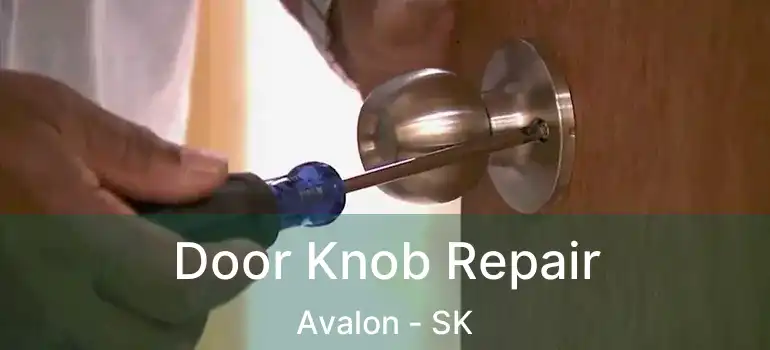  Door Knob Repair Avalon - SK