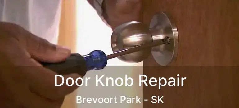  Door Knob Repair Brevoort Park - SK