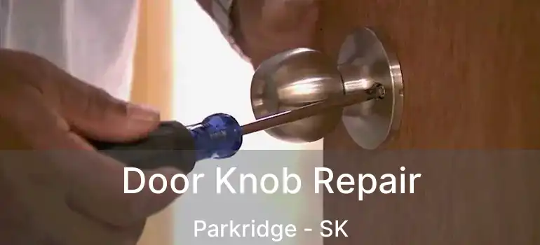  Door Knob Repair Parkridge - SK