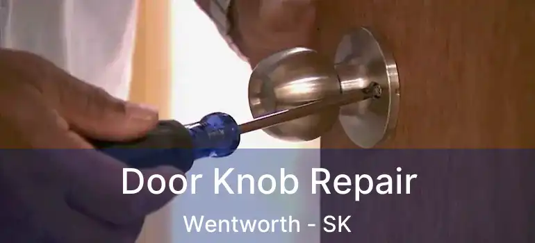  Door Knob Repair Wentworth - SK