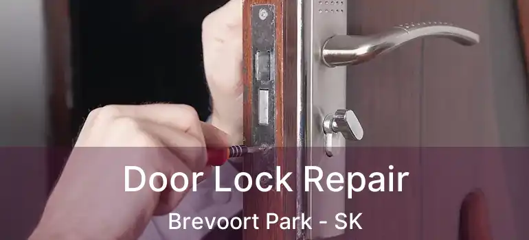  Door Lock Repair Brevoort Park - SK