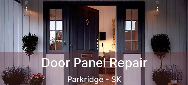  Door Panel Repair Parkridge - SK