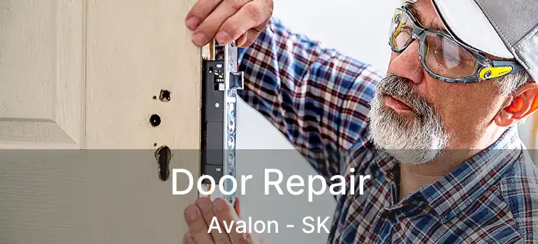  Door Repair Avalon - SK