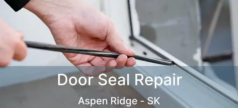  Door Seal Repair Aspen Ridge - SK