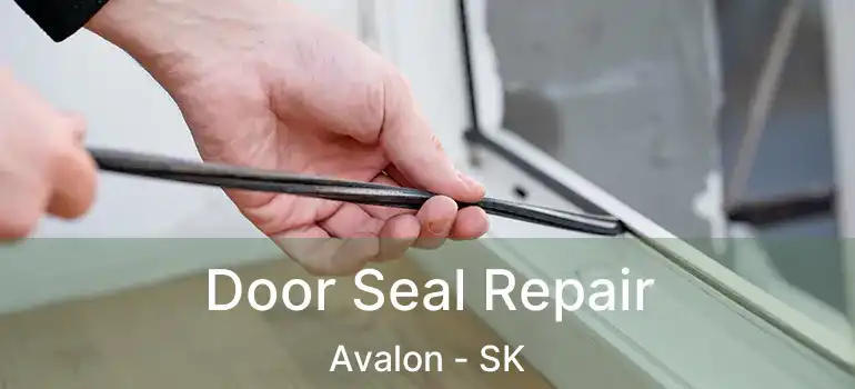  Door Seal Repair Avalon - SK