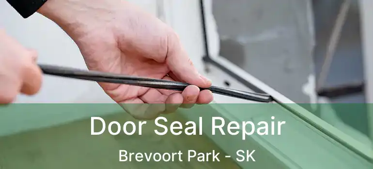  Door Seal Repair Brevoort Park - SK