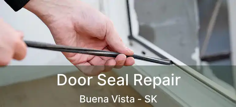  Door Seal Repair Buena Vista - SK