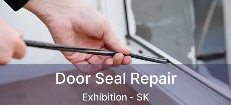  Door Seal Repair Exhibition - SK